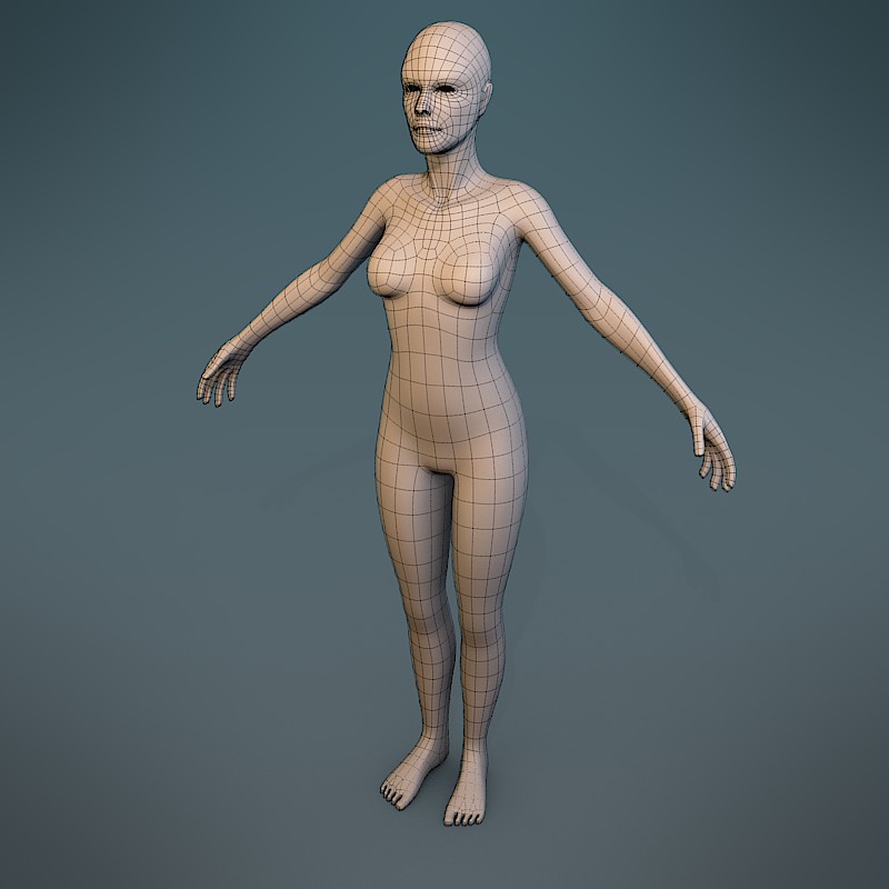Female Body Character Basemesh preview image 1